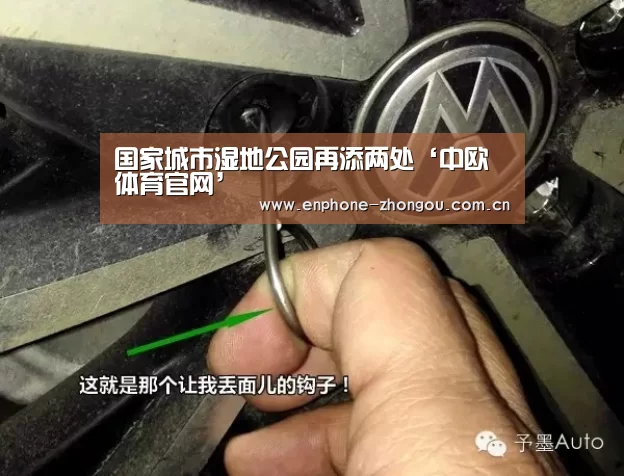 中欧体育