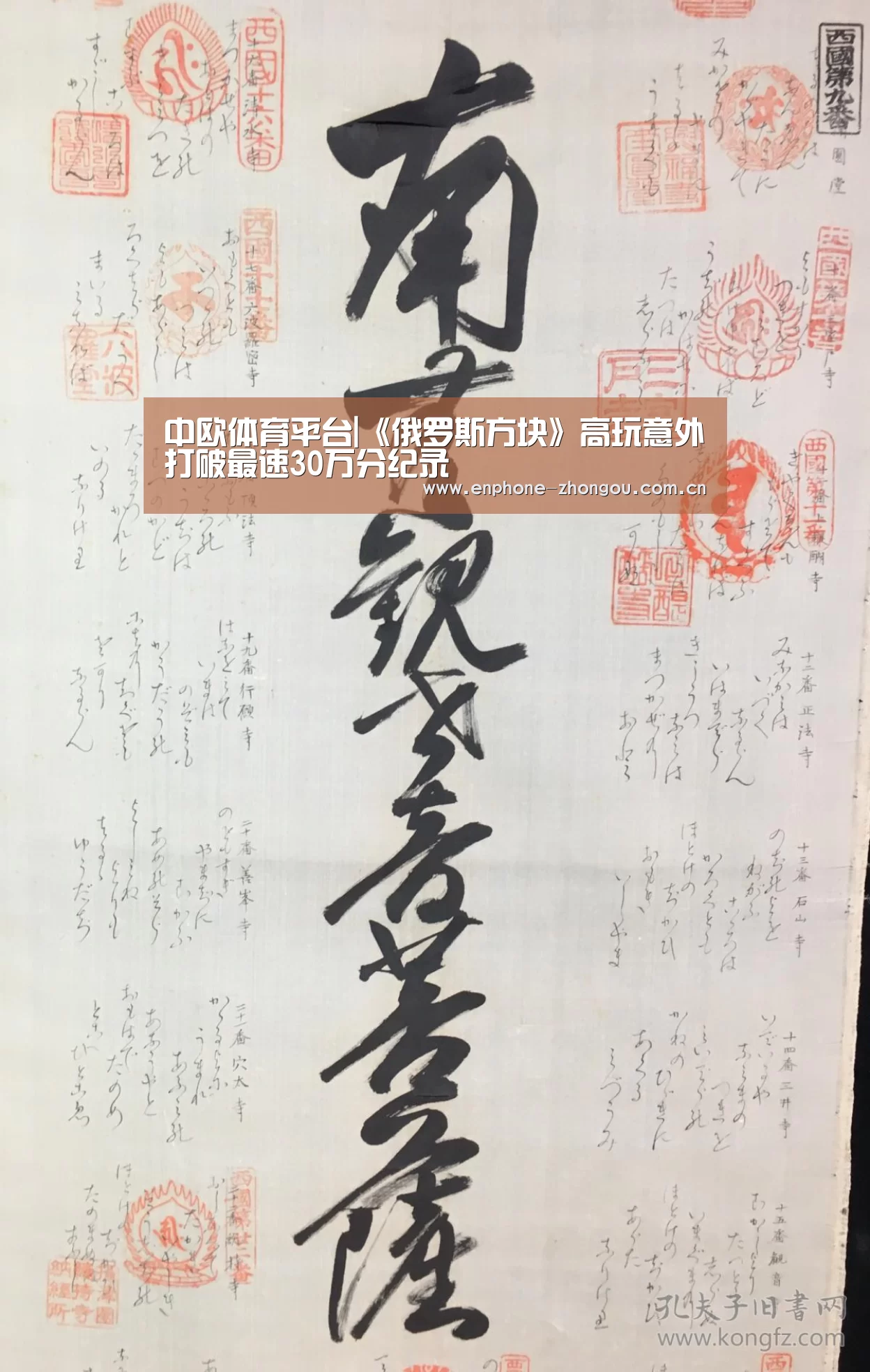 中欧体育