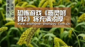 中欧体育官网