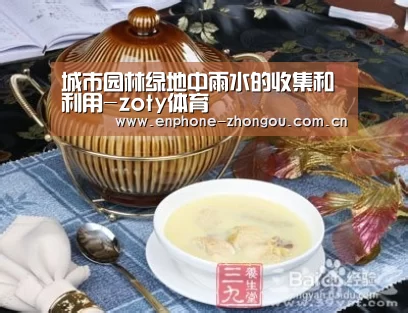 中欧体育官网