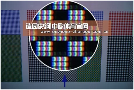 中欧体育平台